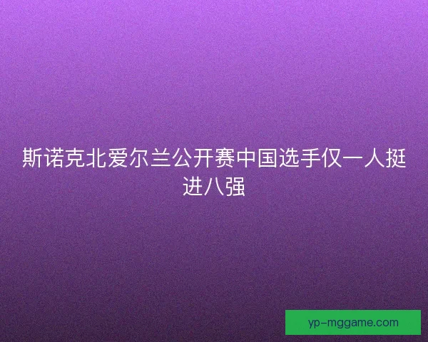 斯诺克北爱尔兰公开赛中国选手仅一人挺进八强